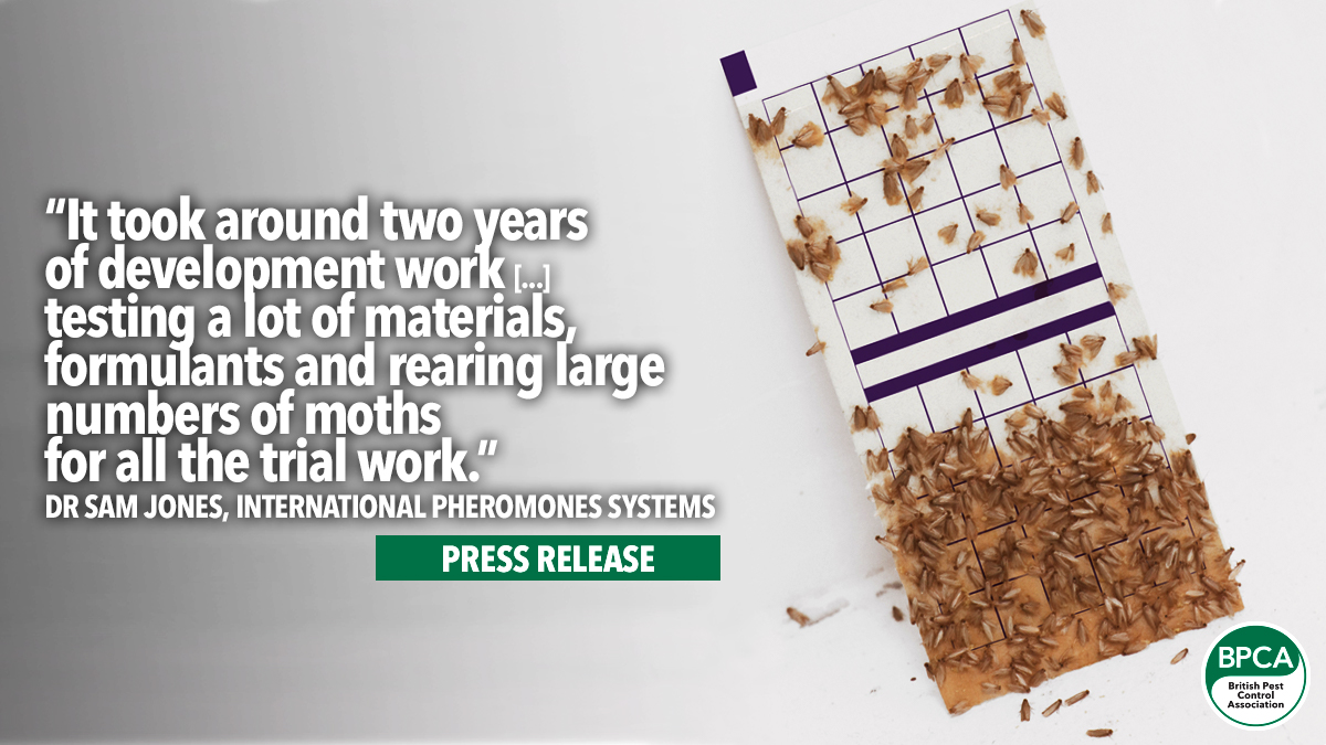 IPS research and development moth sticky board IPS research and development moth sticky board